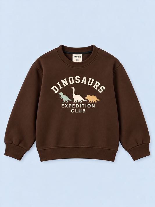 Dino Crew Boys Sweatshirt