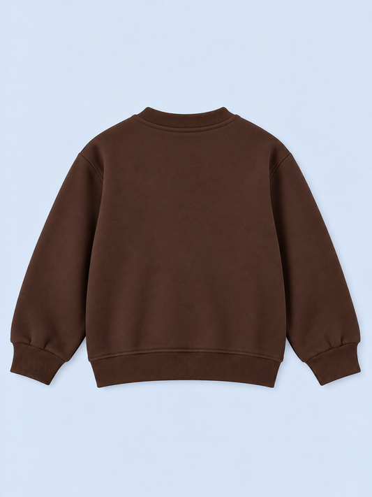 Dino Crew Boys Sweatshirt