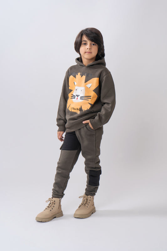 Lion Graphic Boys Hoodie