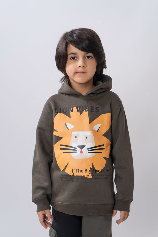 Lion Graphic Boys Hoodie