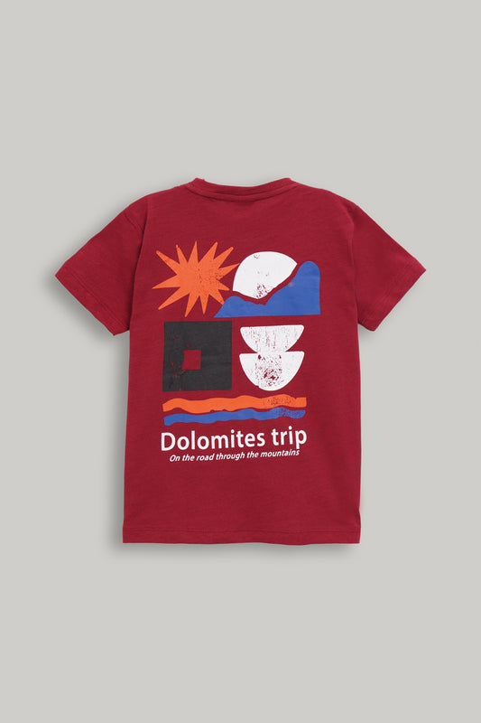 Boys Regular Fit Graphic Tee