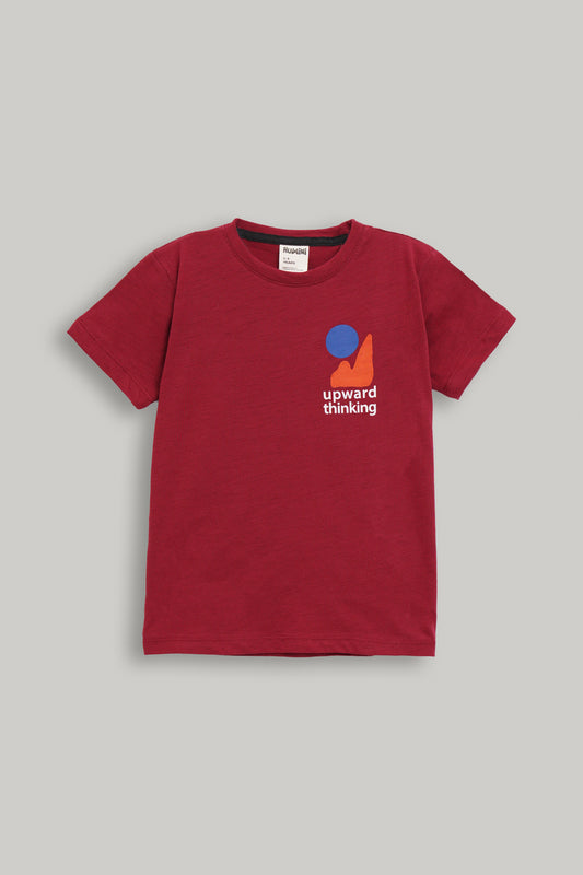 Boys Regular Fit Graphic Tee