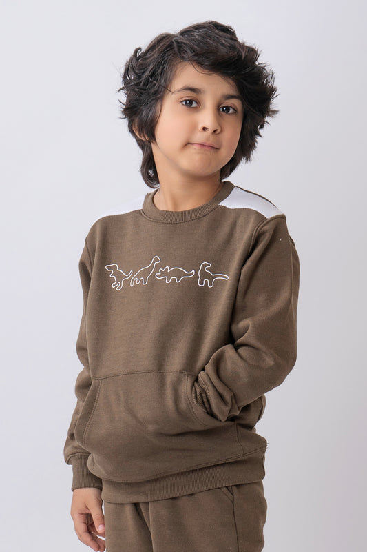 Dino Printed Boys Sweatshirt