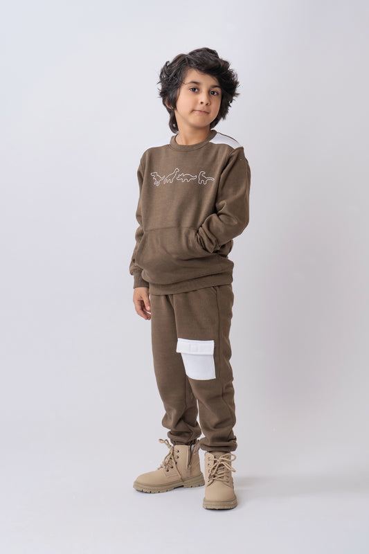 Dino Printed Boys Sweatshirt