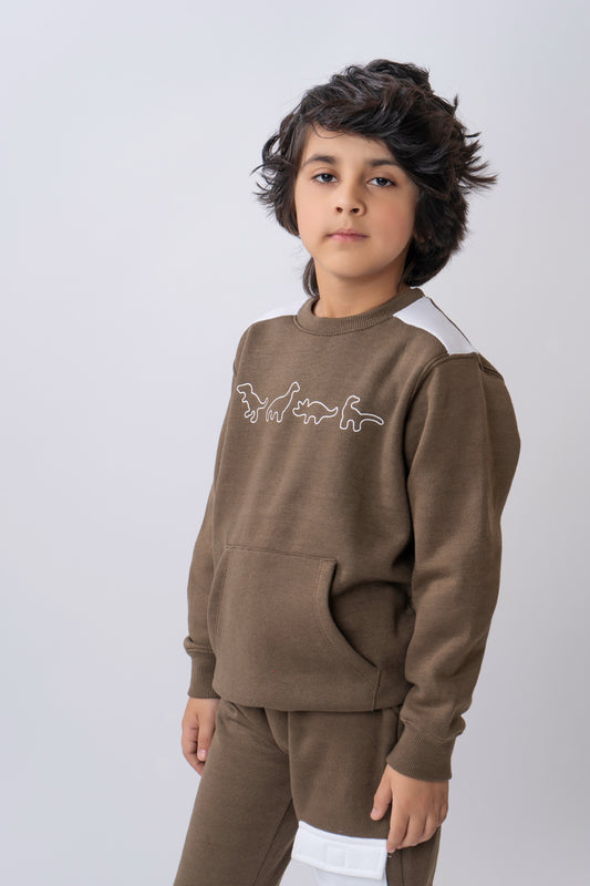 Dino Printed Boys Sweatshirt