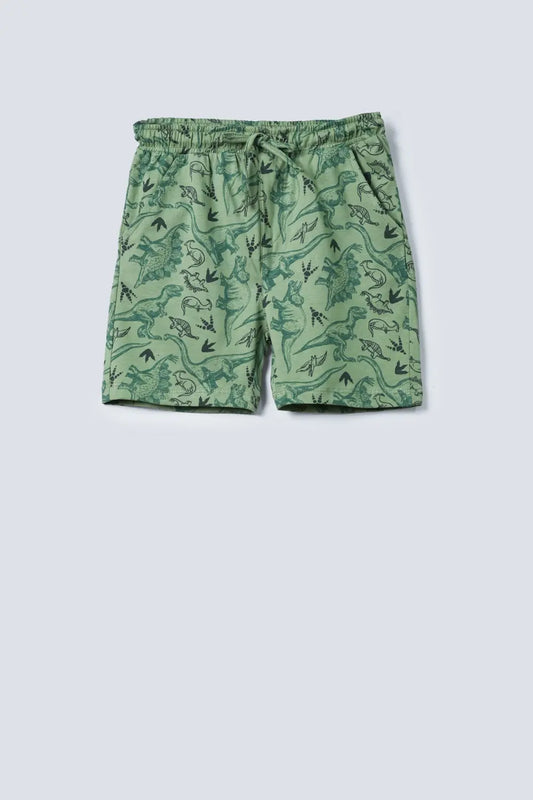 Boys dinosaur Printed Shorts