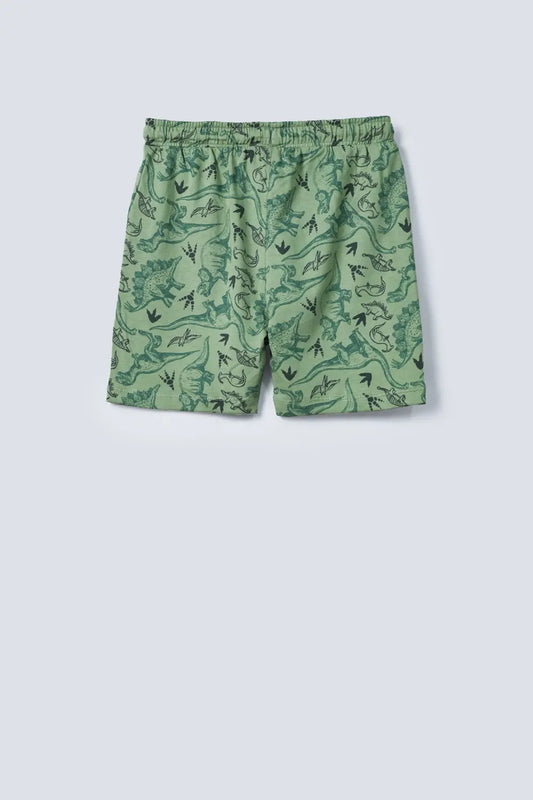 Boys dinosaur Printed Shorts