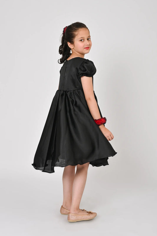 Black Silk Fancy Frock