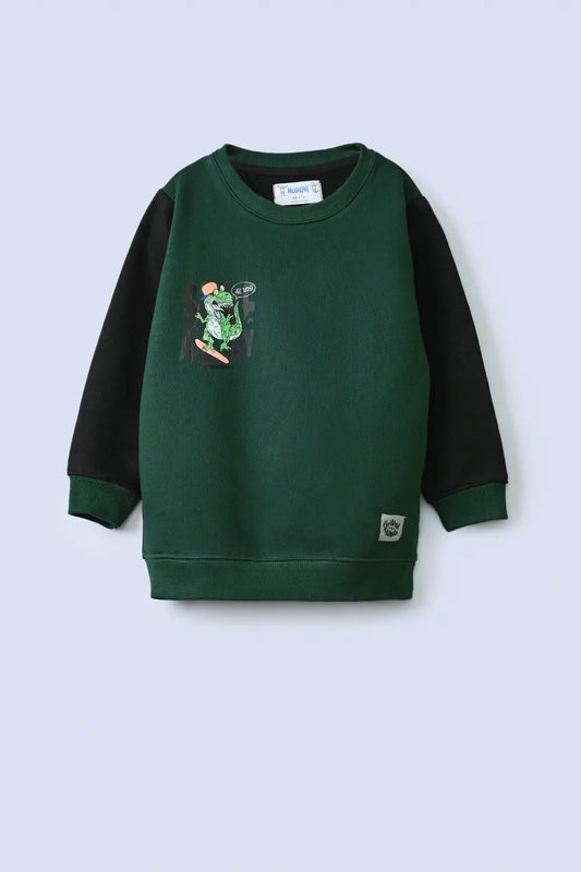 Dino Graphic Boys Sweatshirt