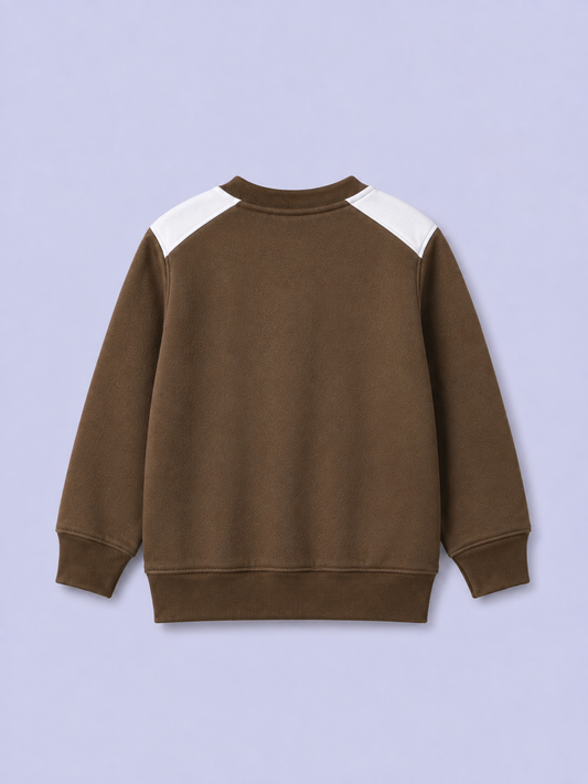 Dino Printed Boys Sweatshirt