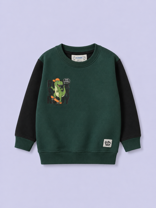 Dino Graphic Boys Sweatshirt