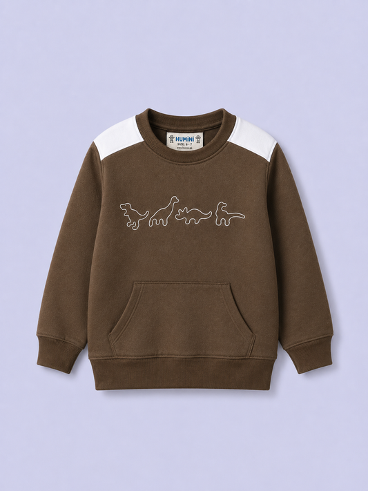 Dino Printed Boys Sweatshirt